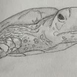 Yr 9 - G. Miller